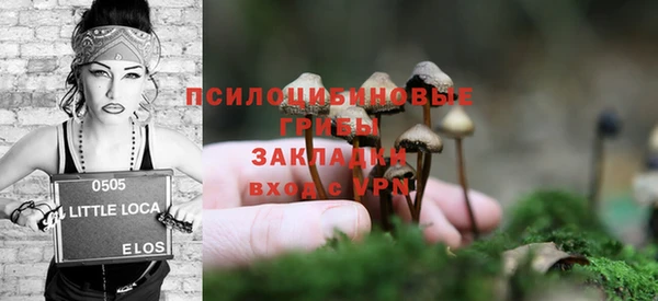 стафф Нефтекумск