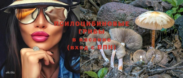 стафф Нефтекумск