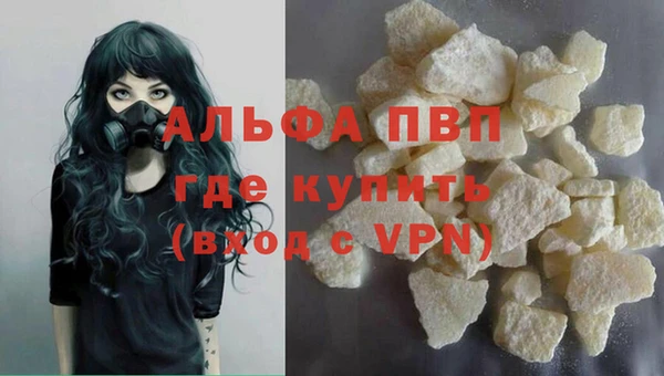 стафф Нефтекумск